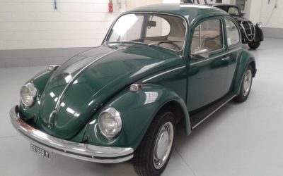 VOLKSWAGEN MAGGIOLINO VETRO PIATTO 1968