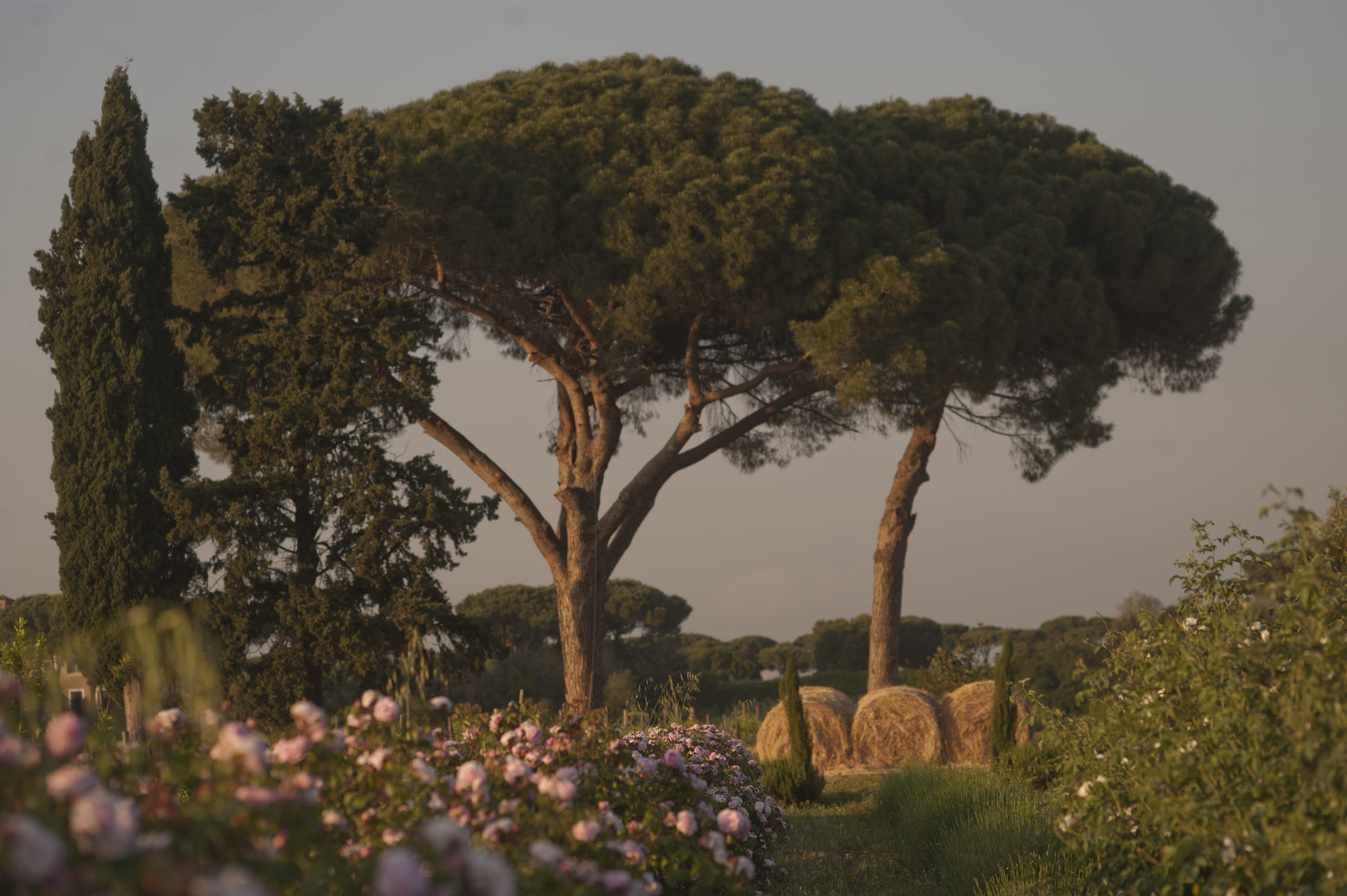 Tenuta Principe Alberico: un’oasi nel cuore di Roma